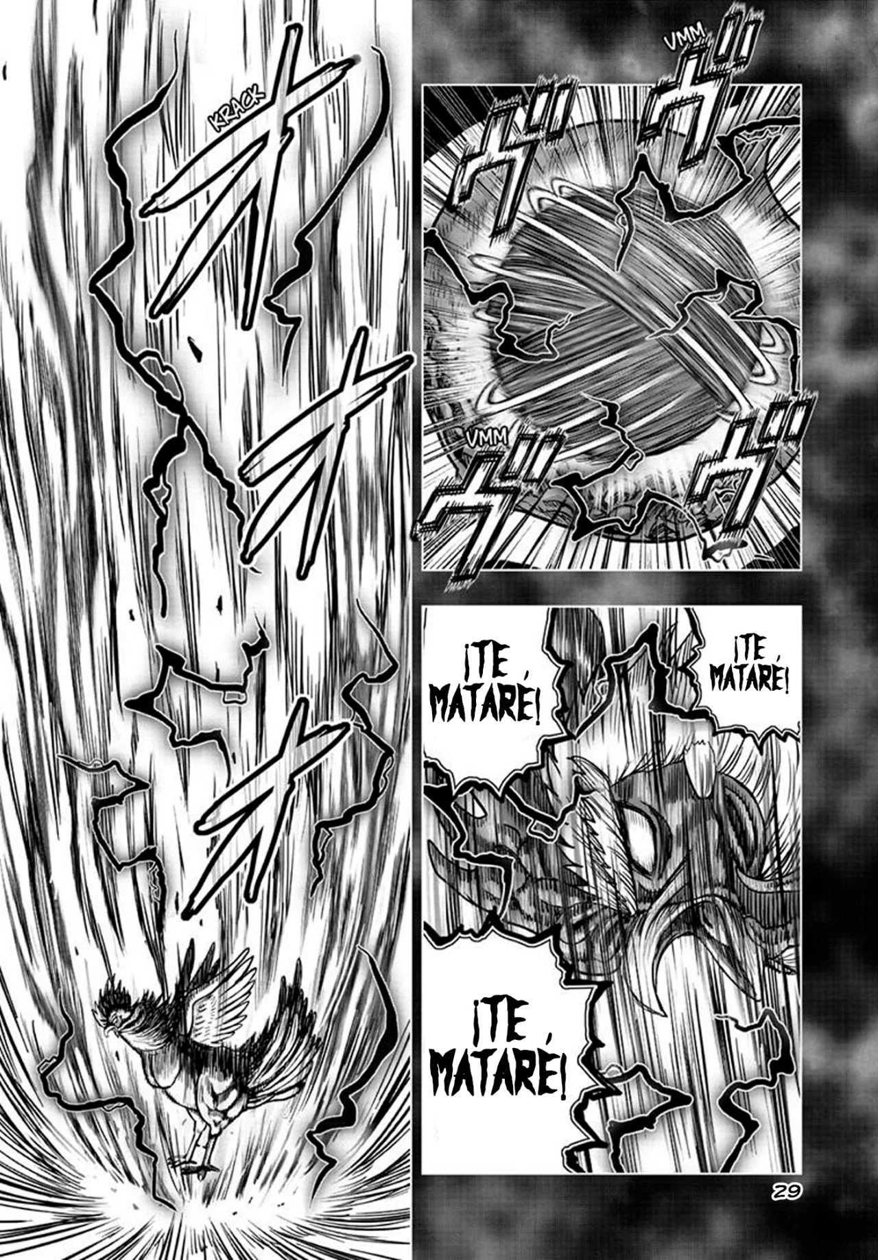 Niwatori Fighter Capítulo 56 - Page 33
