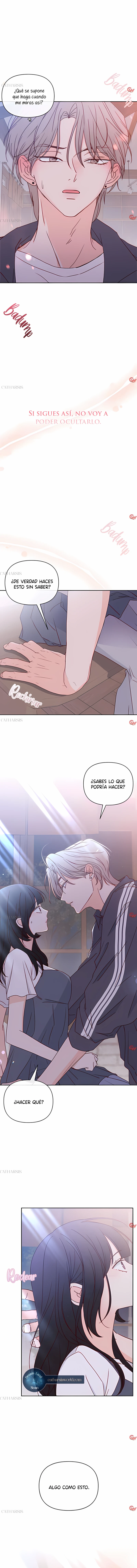 Mi Entrometido en el Amor Capítulo 20 - Page 5