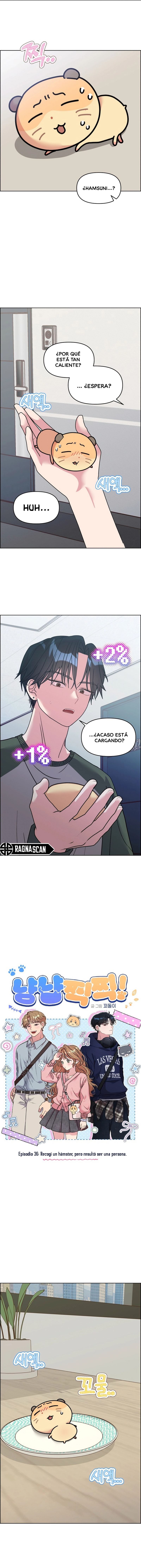 ¡Meow Meow! ¡Squeak Squeak! Capítulo 36 - Page 2