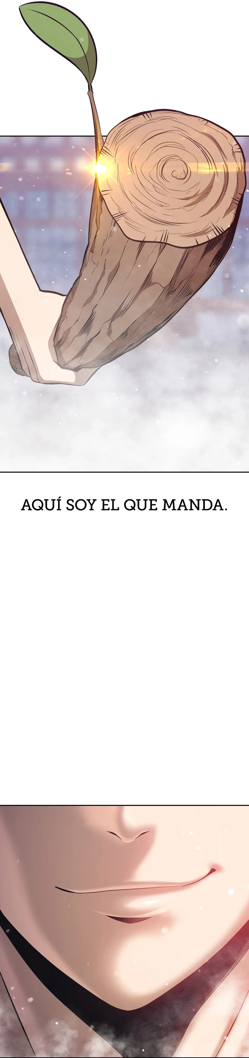 +99 palo de madera Capítulo 2 - Page 14