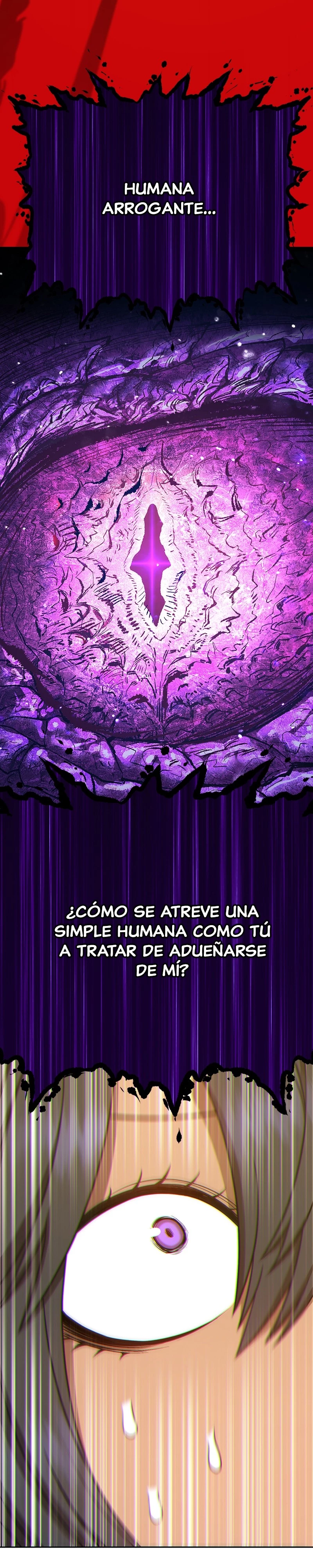+99 palo de madera Capítulo 8 - Page 11