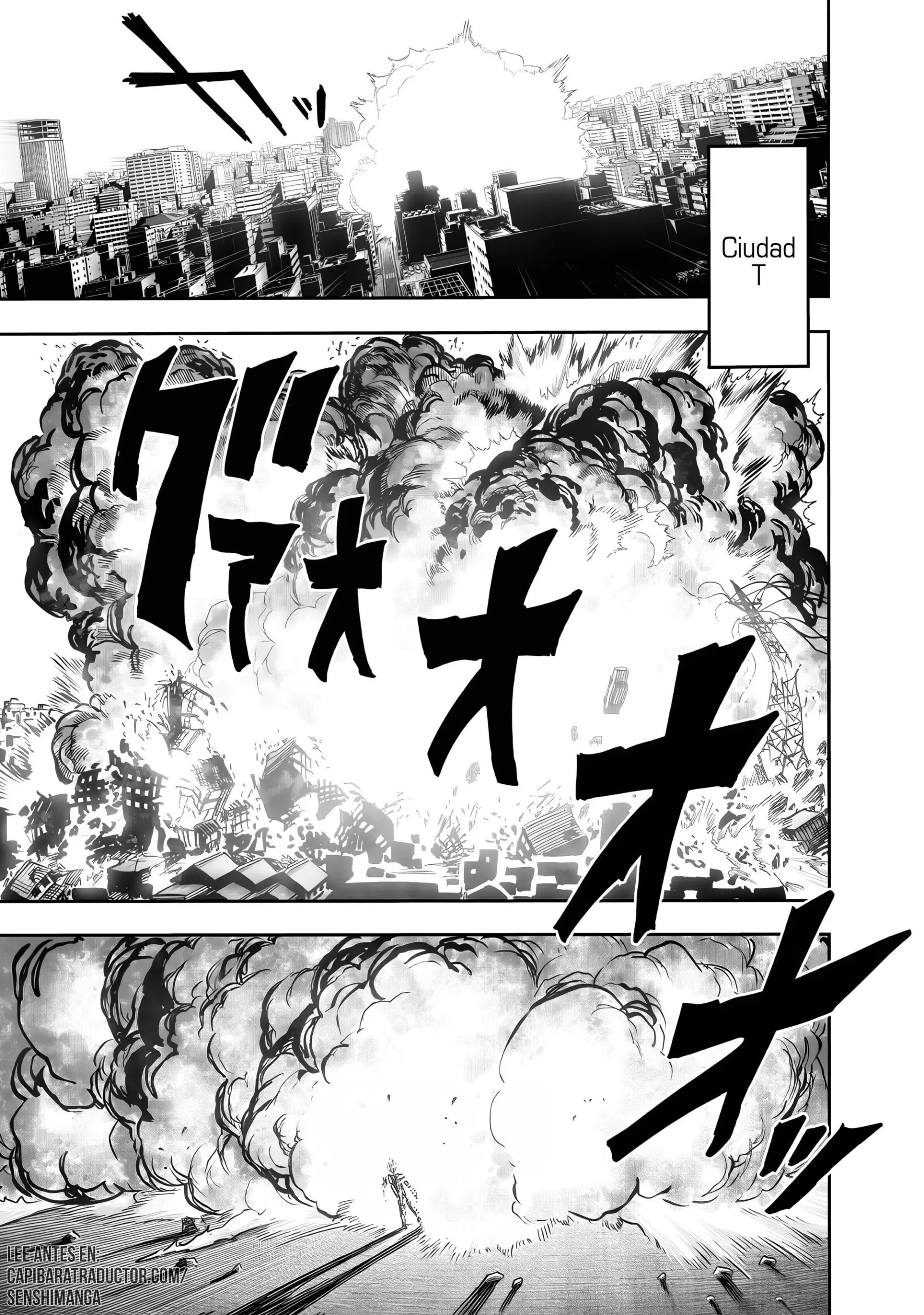 One Punch-Man Capítulo 295 - Page 12