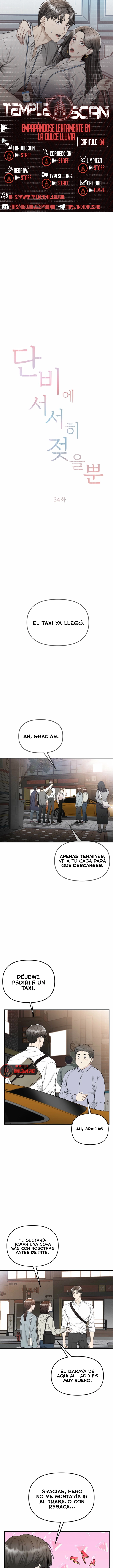 Empapandose Lentamente En La Dulce Lluvia Capítulo 34 - Page 1