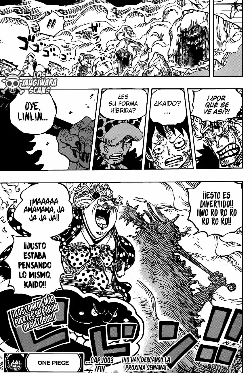 One Piece Capítulo 1003.5 - Page 14