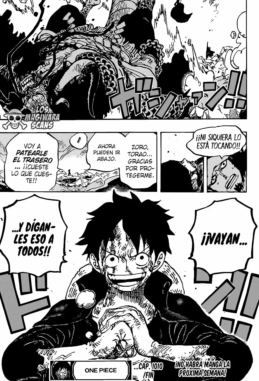 One Piece Capítulo 1010.5 - Page 17
