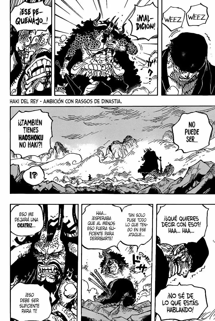 One Piece Capítulo 1010 - Page 10