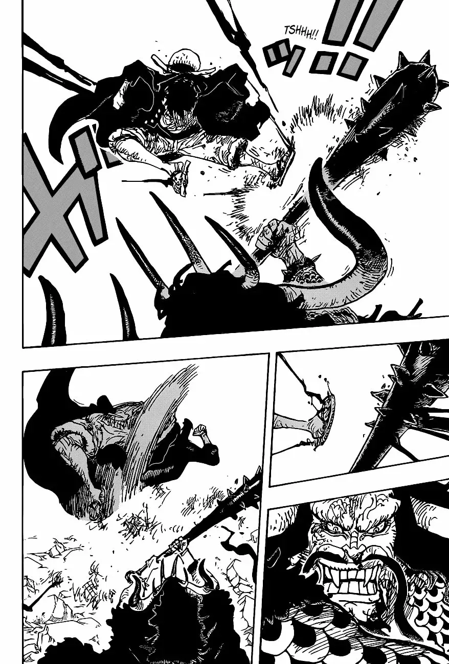 One Piece Capítulo 1010 - Page 14