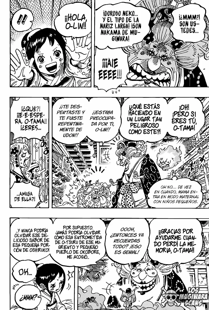 One Piece Capítulo 1011.5 - Page 17