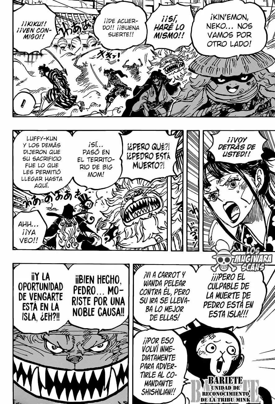 One Piece Capítulo 1012.5 - Page 5