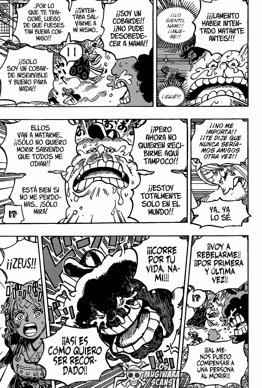 One Piece Capítulo 1013.5 - Page 11