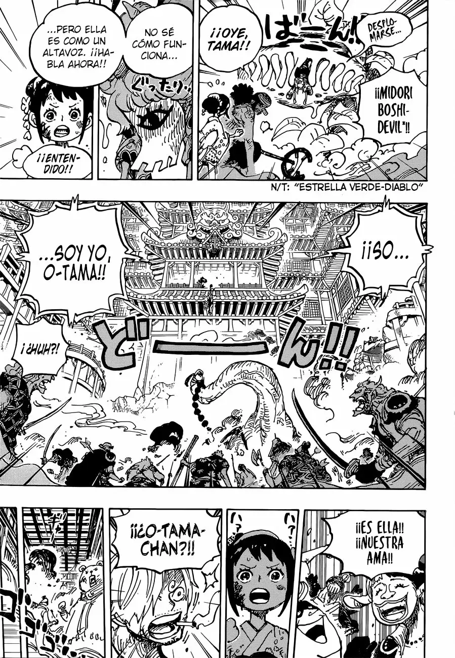 One Piece Capítulo 1016.5 - Page 13