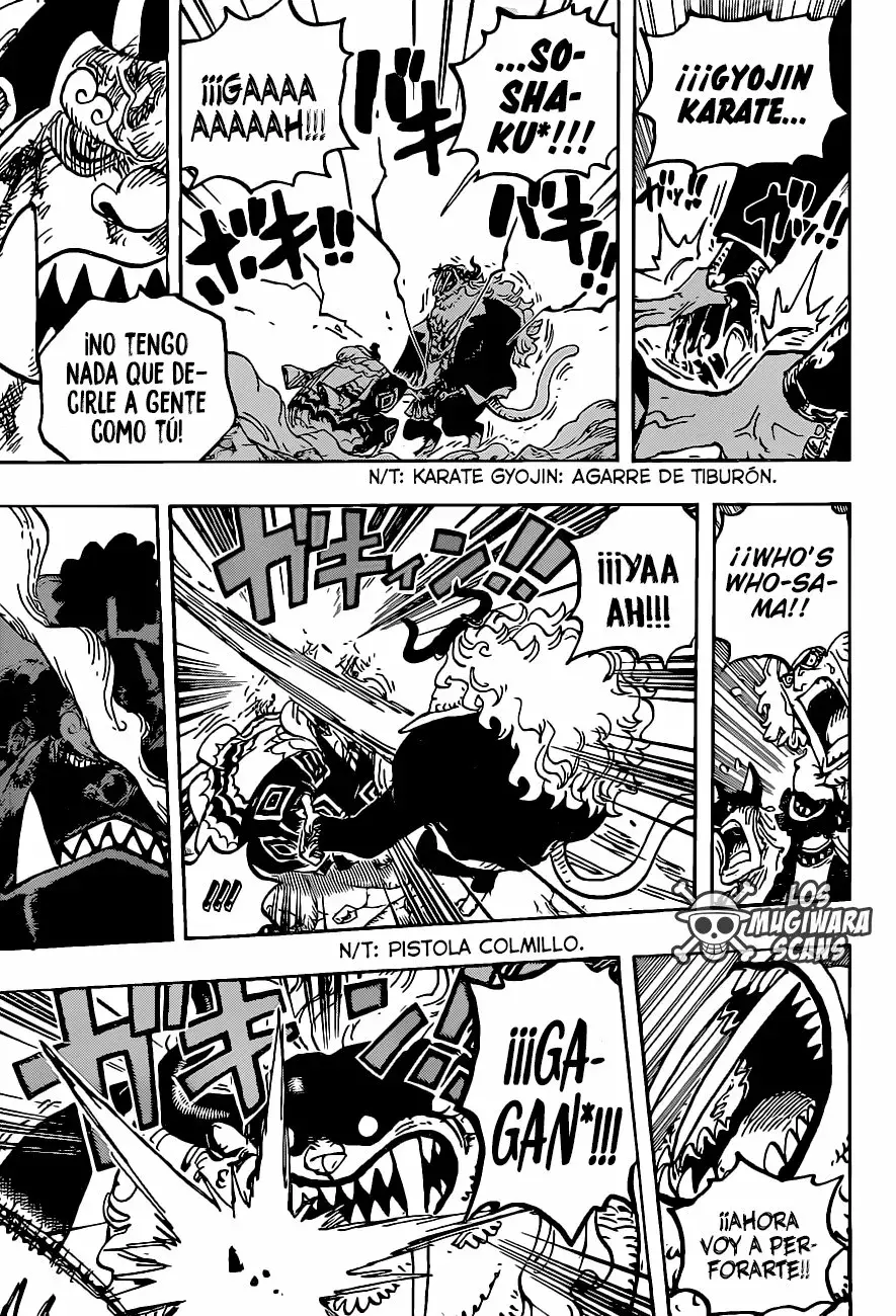 One Piece Capítulo 1018.5 - Page 16