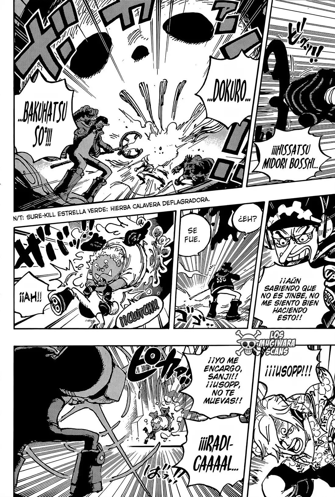 One Piece Capítulo 1065 - Page 12