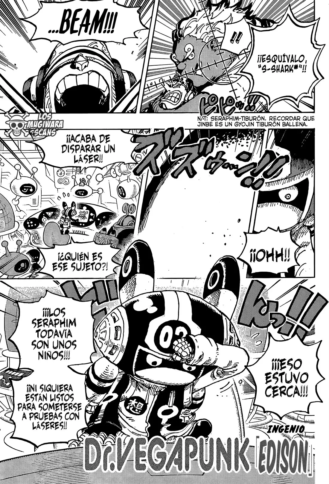 One Piece Capítulo 1065 - Page 13