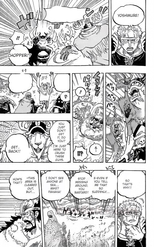 One Piece Capítulo 1178 - Page 13
