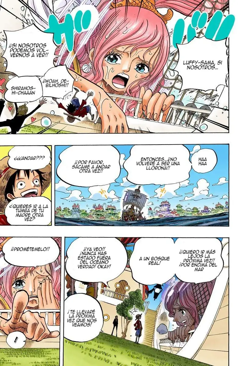 One Piece Capítulo 653 - Page 13