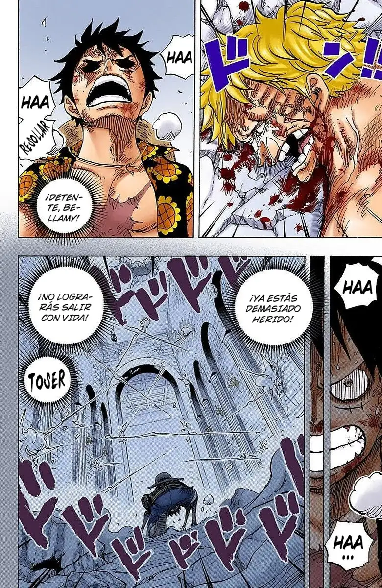 One Piece Capítulo 779 - Page 11