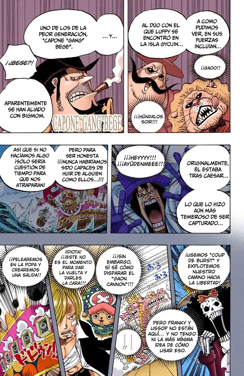 One Piece Capítulo 807 - Page 10