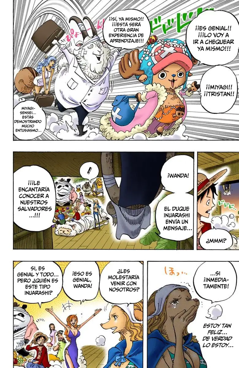 One Piece Capítulo 807 - Page 15