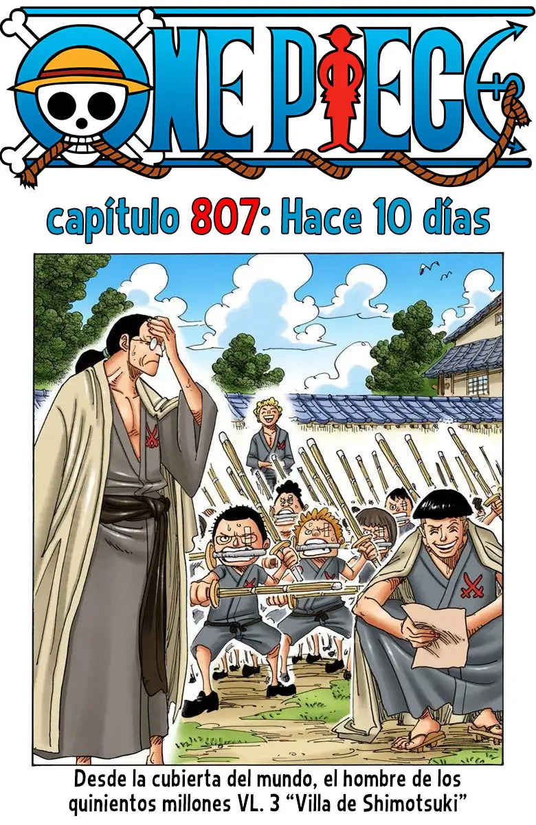 One Piece Capítulo 807 - Page 3