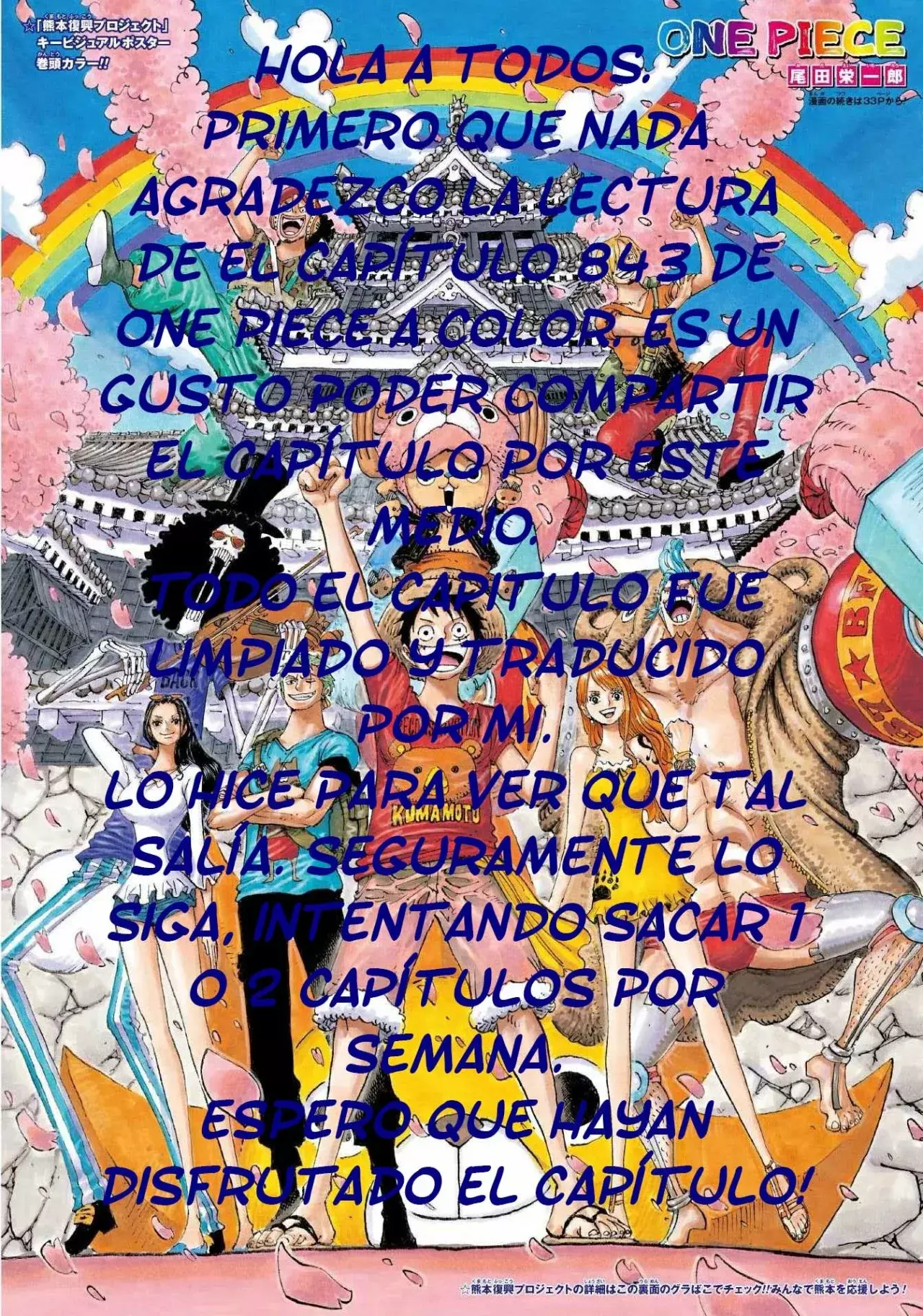 One Piece Capítulo 843.5 - Page 18