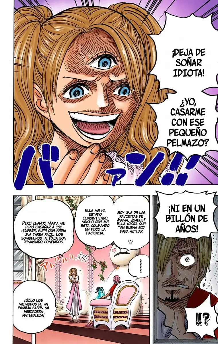 One Piece Capítulo 850 - Page 14