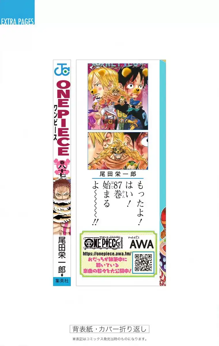 One Piece Capítulo 879 - Page 17