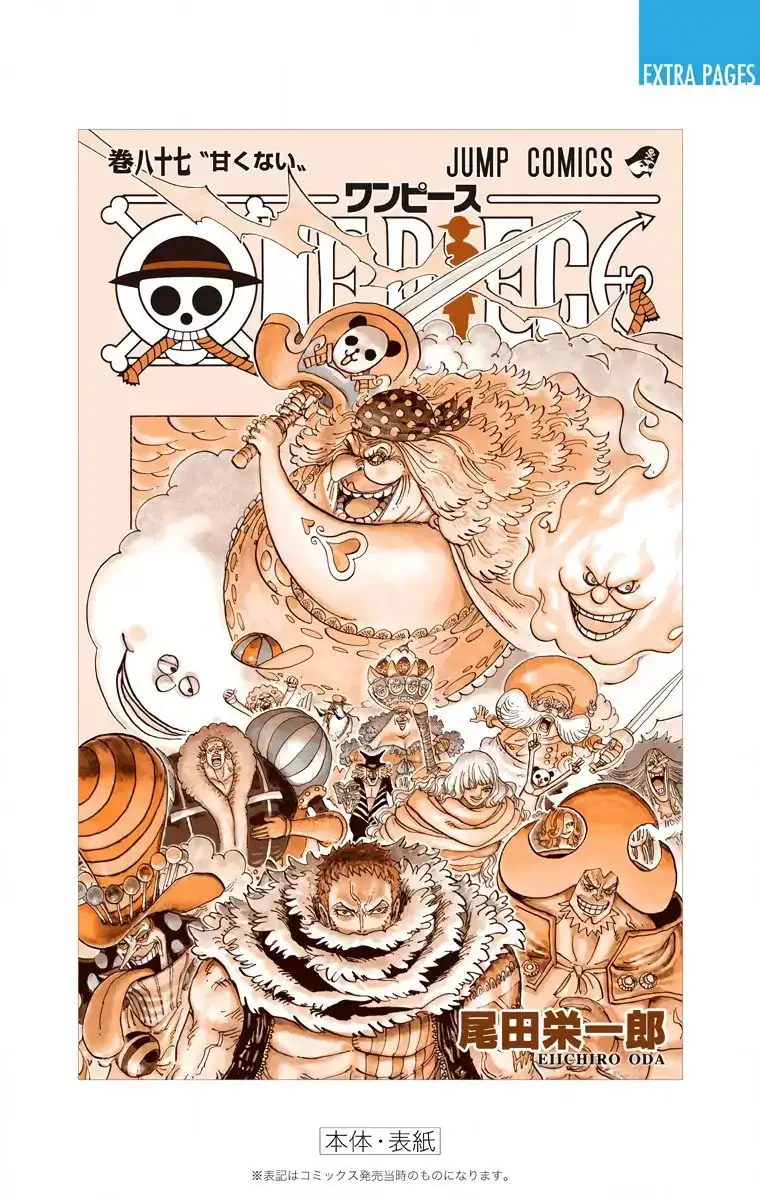 One Piece Capítulo 879 - Page 18