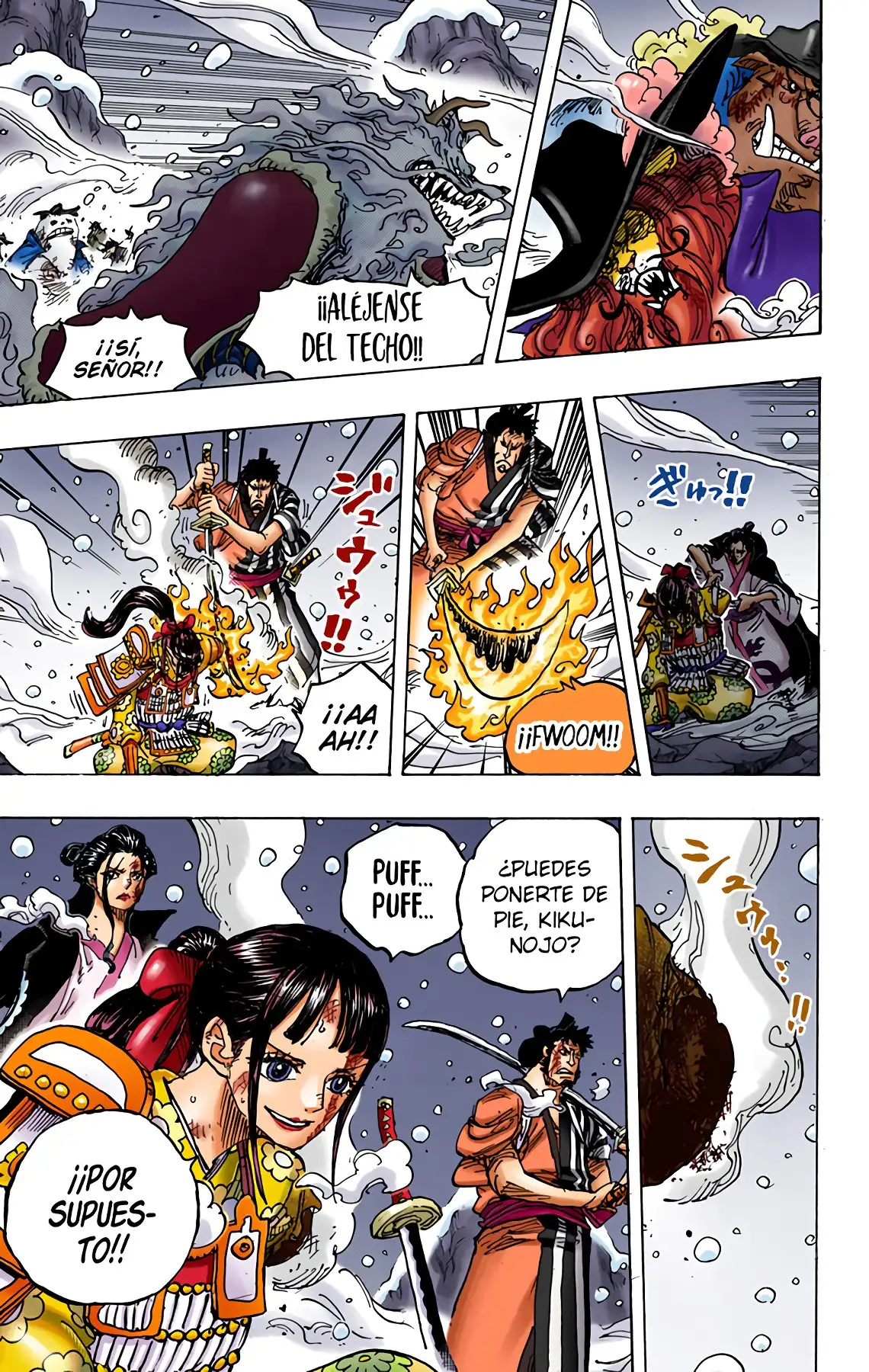 One Piece Capítulo 994 - Page 3
