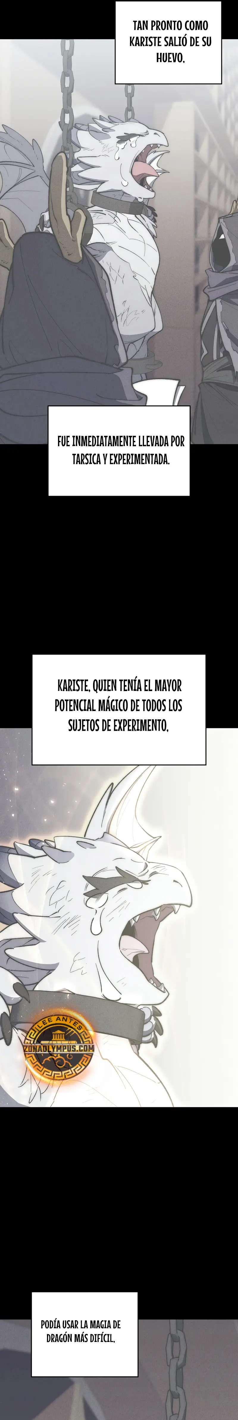 El Arquitecto de mazmorras Capítulo 26 - Page 5