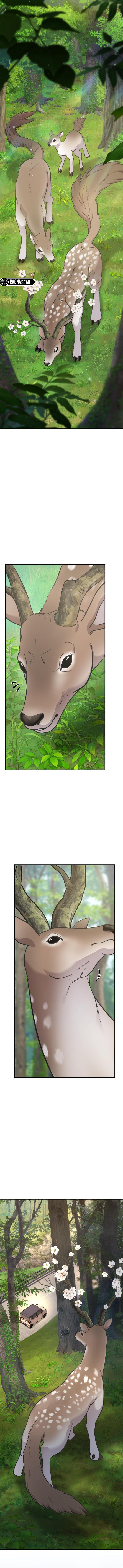 ¡Hola, Pequeño Grifo Peludo! Capítulo 23 - Page 2