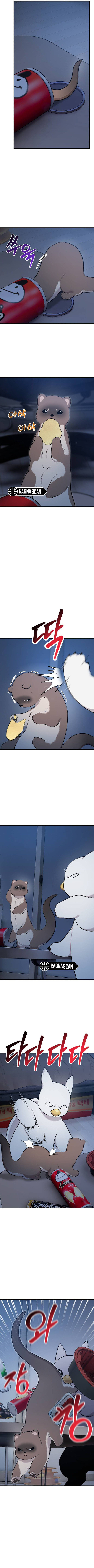 ¡Hola, Pequeño Grifo Peludo! Capítulo 30 - Page 7