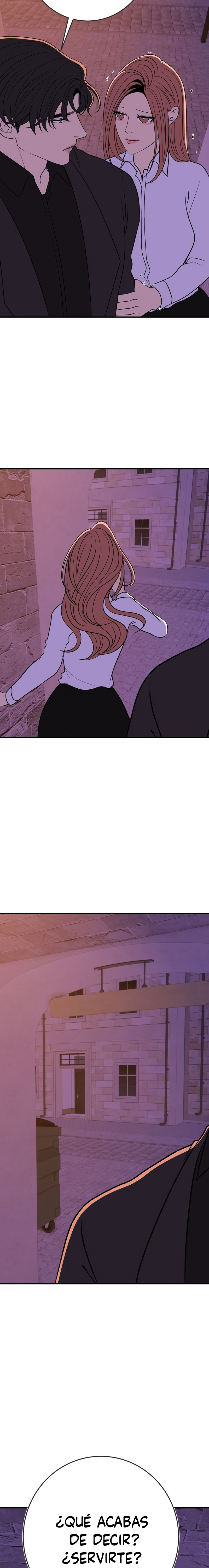 De Regreso a la Luna Capítulo 29 - Page 17